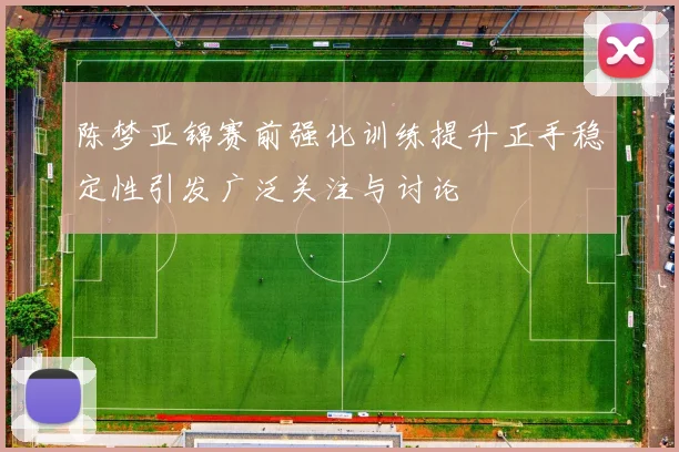 陈梦亚锦赛前强化训练提升正手稳定性引发广泛关注与讨论